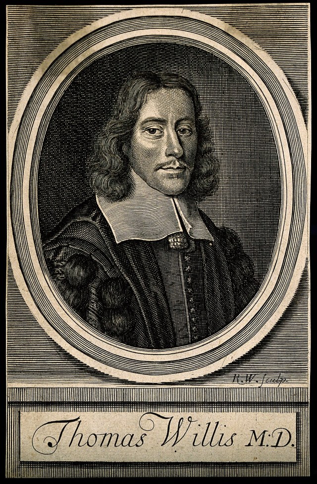 Line engraving portrait of English physician Thomas Willis, shown from the chest up within an oval frame.