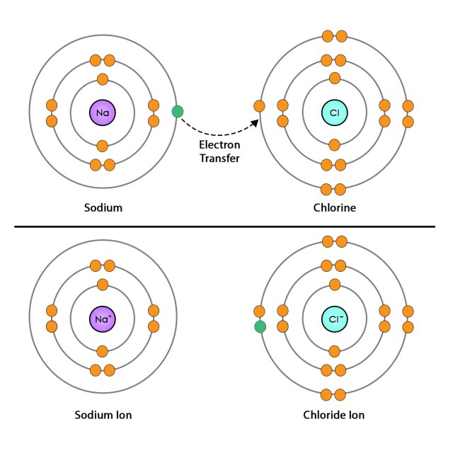 Diagram showing a sodium atom transferring its single outer-shell electron to a chlorine atom. After the transfer, sodium becomes a positively charged sodium ion, Na⁺, and chlorine becomes a negatively charged chloride ion, Cl⁻.