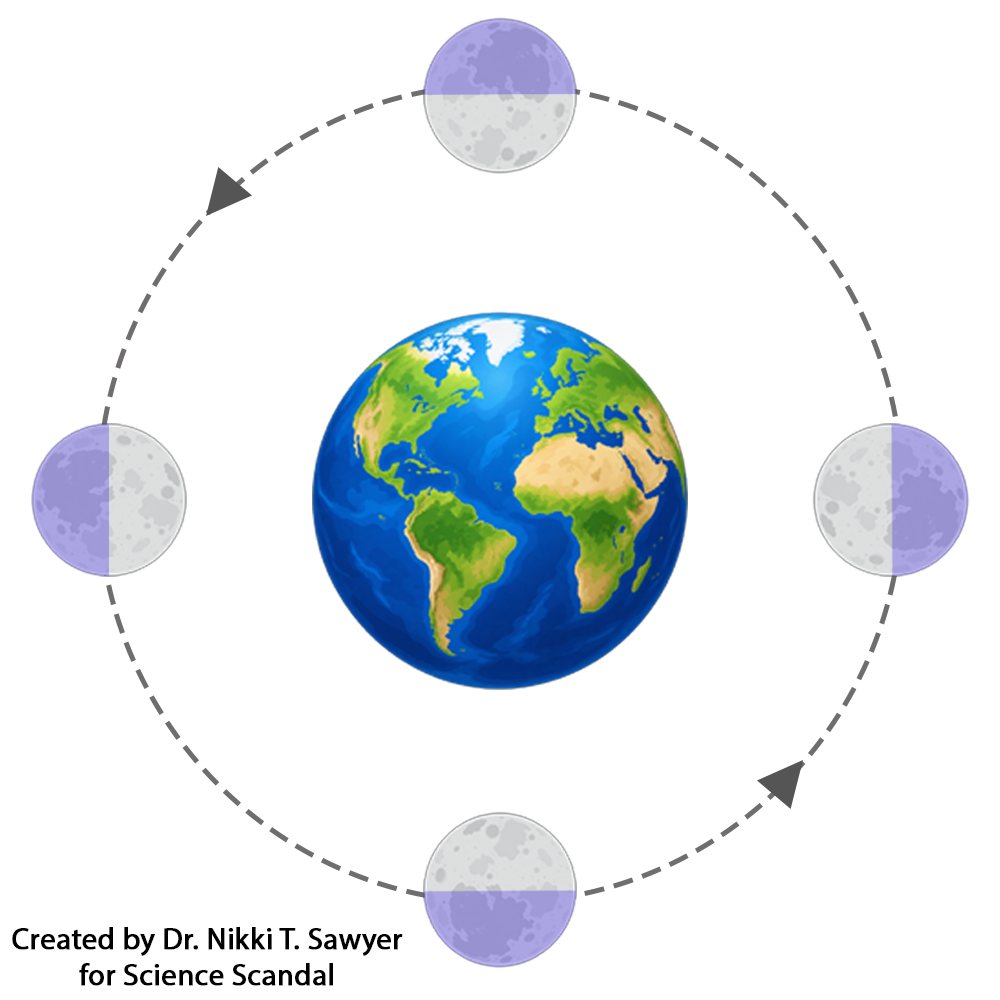 Diagram illustrating the Moon’s tidal locking to Earth. Earth is centered inside the Moon’s orbital path, with the Moon shown at four positions around its orbit. At each position, the same gray lunar hemisphere faces Earth while the purple far hemisphere faces away, demonstrating that the Moon rotates as it orbits.