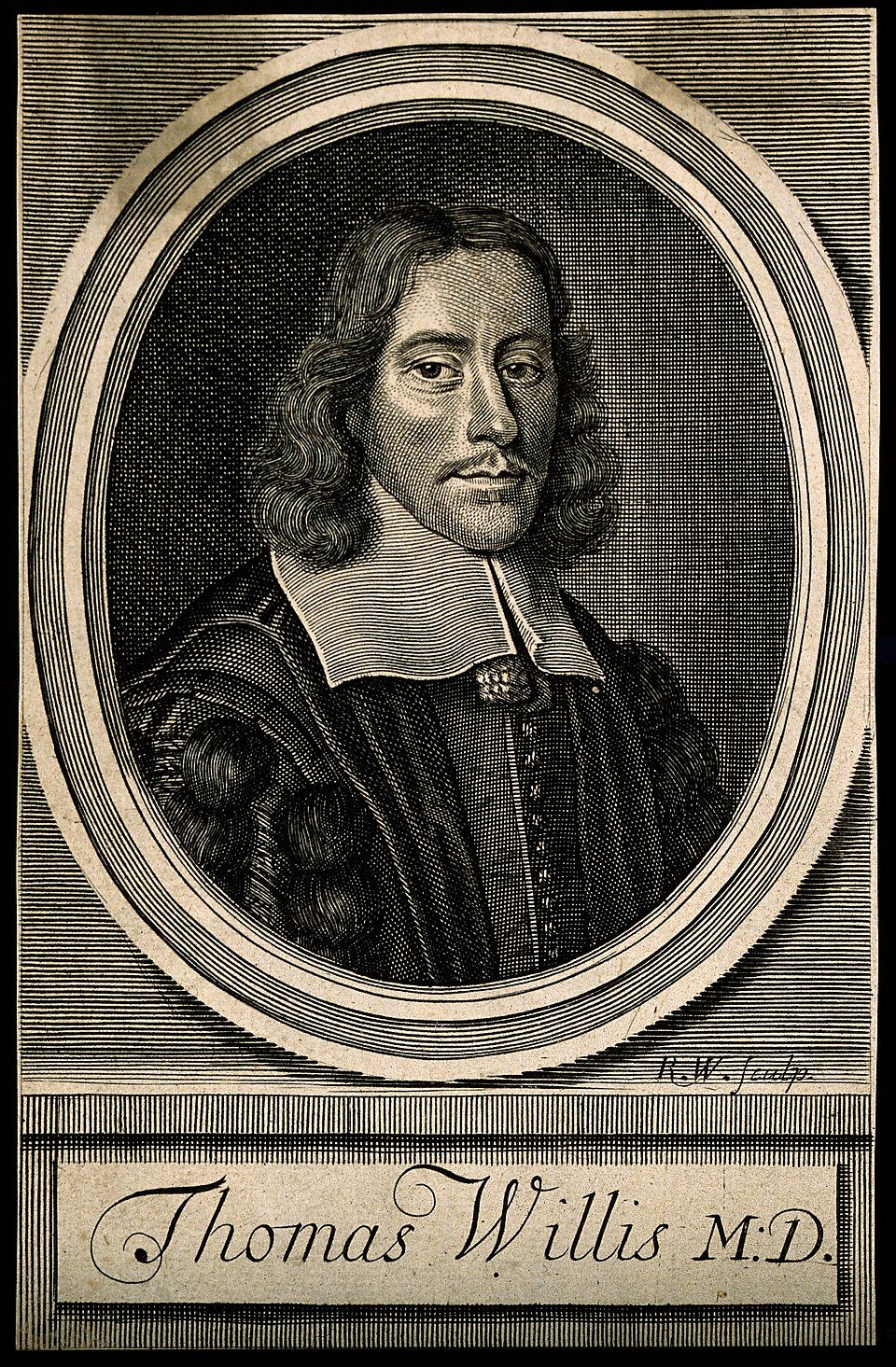 Line engraving portrait of English physician Thomas Willis, shown from the chest up within an oval frame.