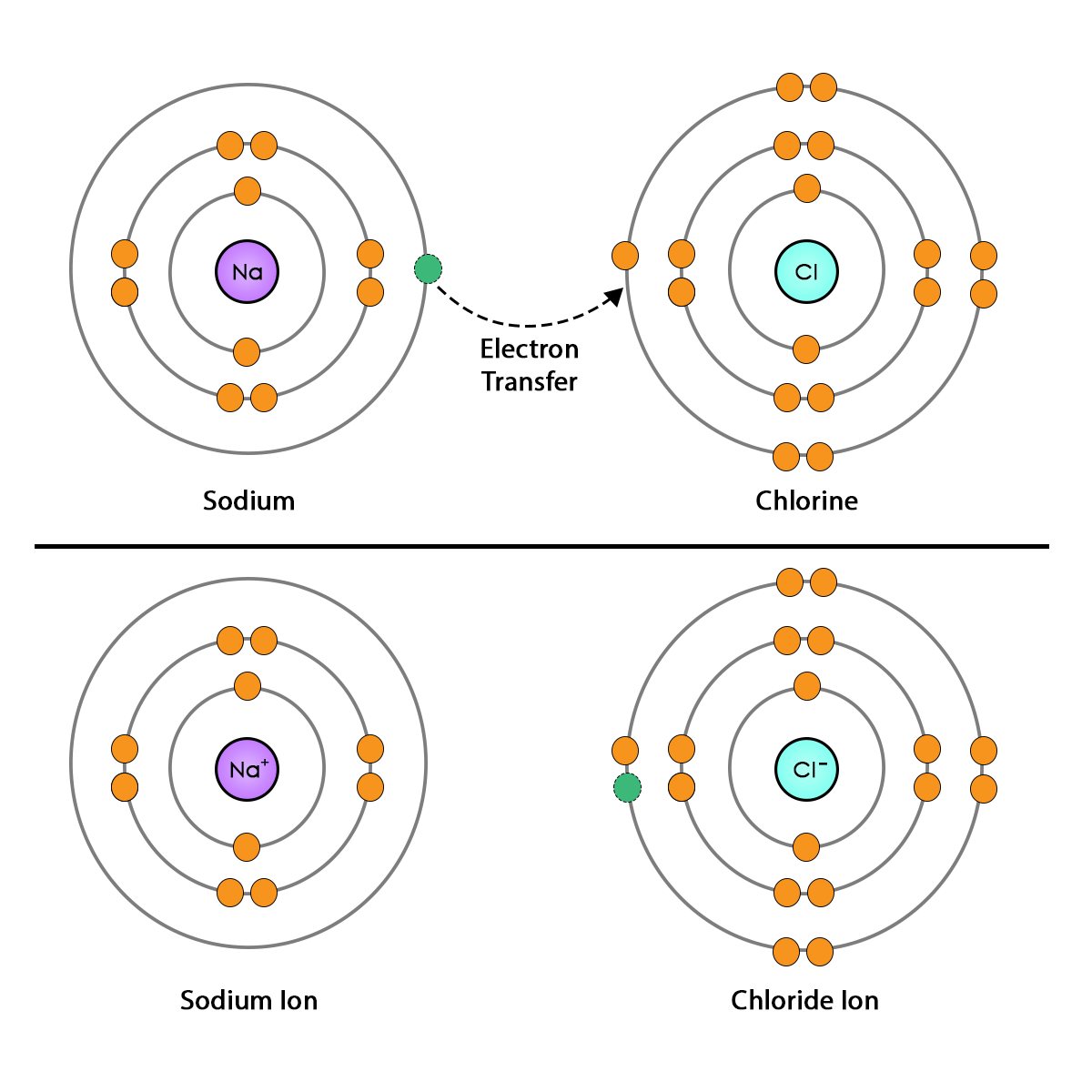 Diagram showing a sodium atom transferring its single outer-shell electron to a chlorine atom. After the transfer, sodium becomes a positively charged sodium ion, Na⁺, and chlorine becomes a negatively charged chloride ion, Cl⁻.