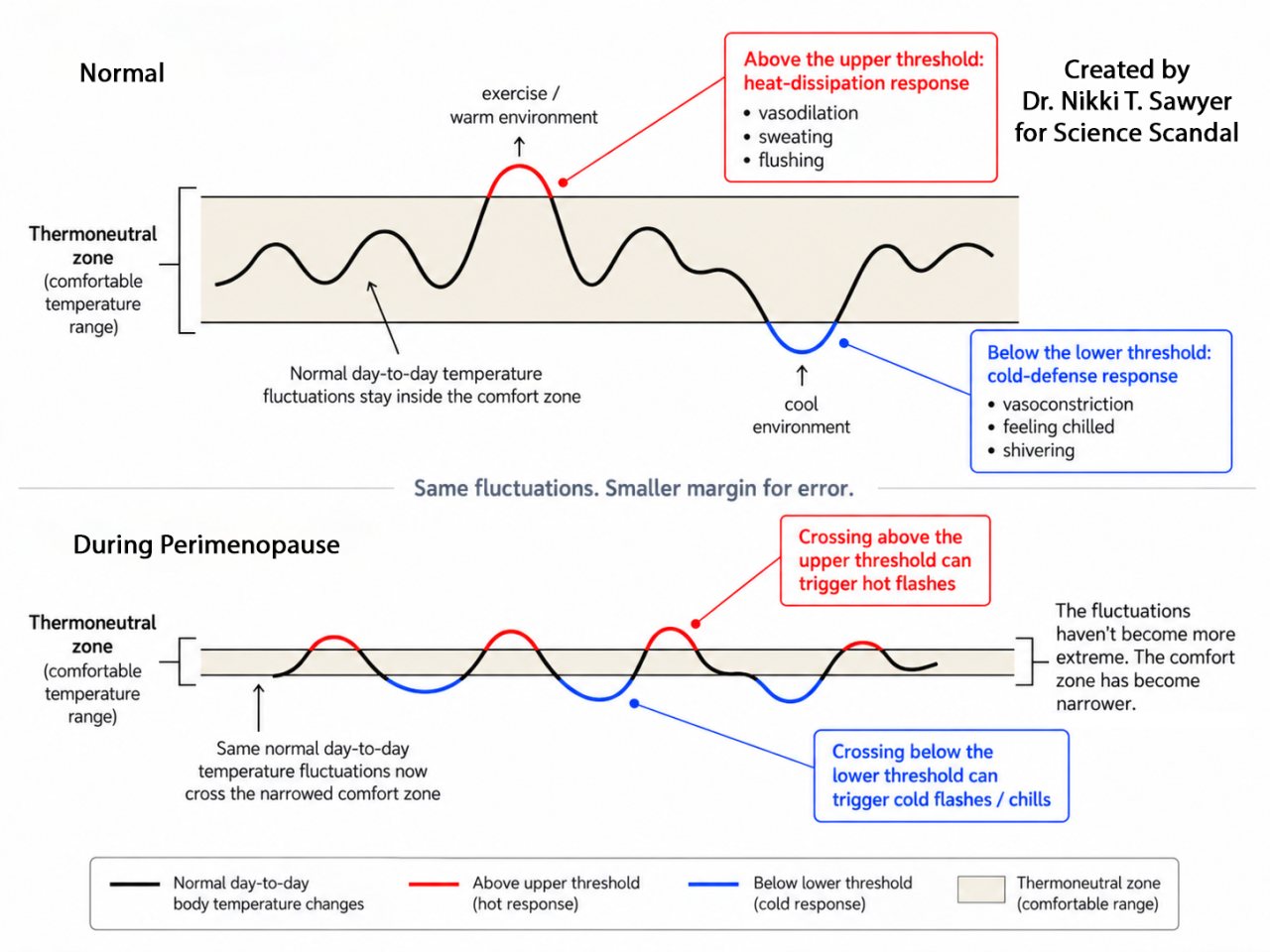 Two-panel explanatory diagram comparing normal thermoregulation with thermoregulation during perimenopause. In the normal panel, ordinary body-temperature fluctuations generally remain within a relatively wide thermoneutral zone, while larger changes from exercise, warm conditions, or cool conditions cross upper or lower thresholds and trigger heat-loss or cold-defense responses. In the perimenopause panel, similar-sized temperature fluctuations repeatedly cross a much narrower thermoneutral zon