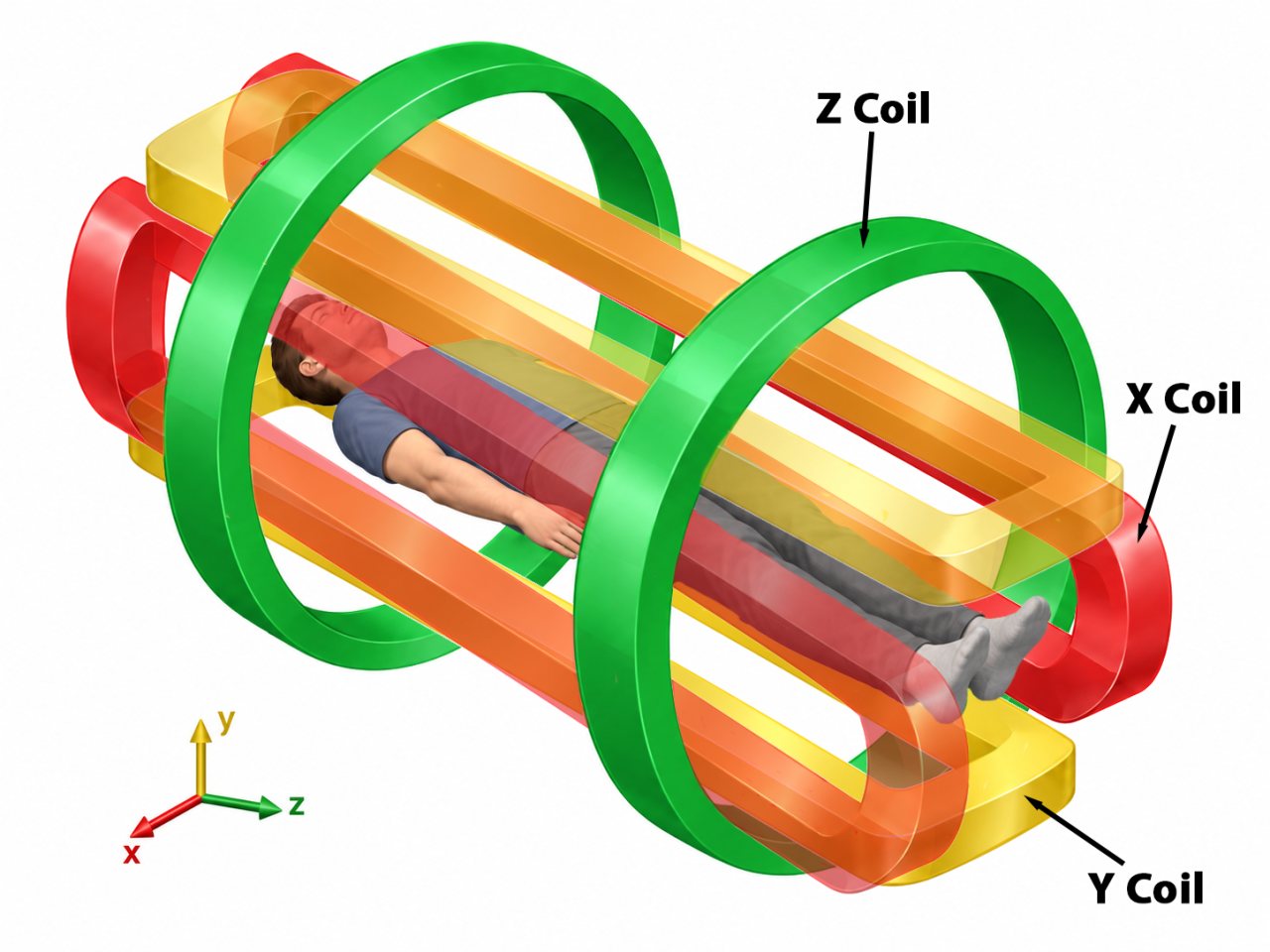 Illustration of a patient lying inside three color-coded MRI gradient coil sets, with red X coils positioned along the left and right sides, yellow Y coils above and below, and green Z coils encircling the patient. A small x-y-z axis guide appears at the lower left.